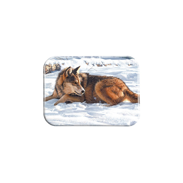 "Raven Rhetoric" - 2.5" X 3.5" Rectangle Fridge Magnets