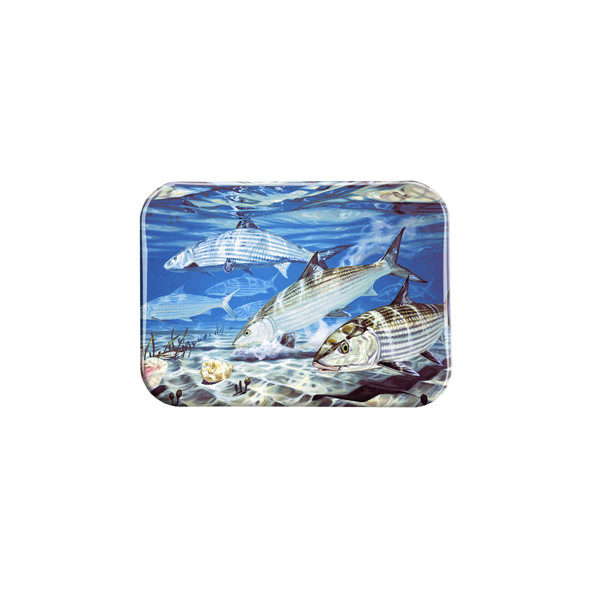 "Bonefish And Conch" - 2.5" X 3.5" Rectangle Fridge Magnets