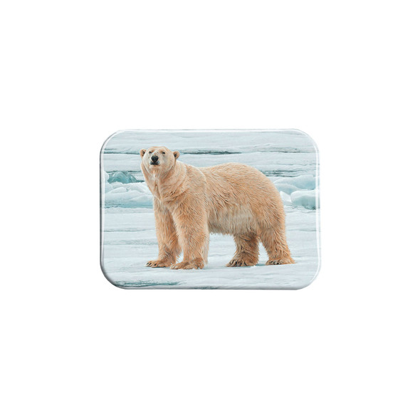 "Arctic Summer" - 2.5" X 3.5" Rectangle Fridge Magnets