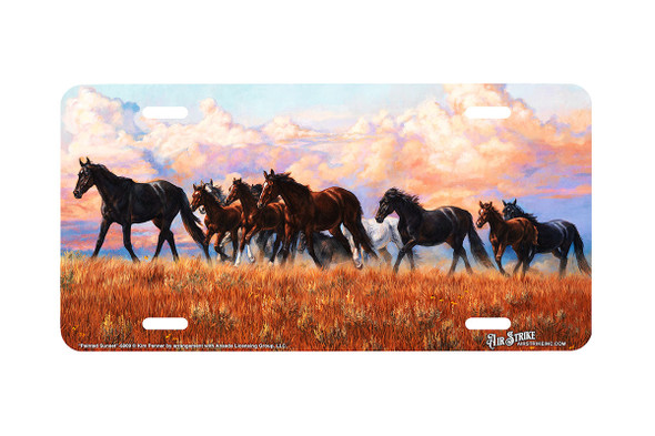 "Painted Sunset" - Decorative License Plate