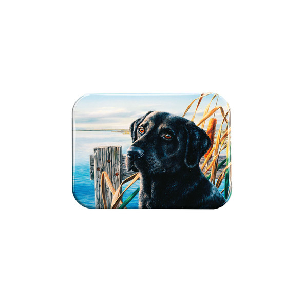 "Duck Fancy" - 2.5" X 3.5" Rectangle Fridge Magnets