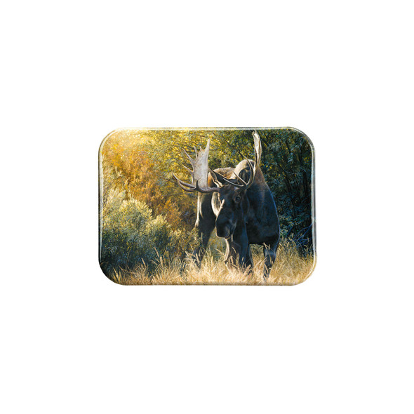 "Sudden Encounter" - 2.5" X 3.5" Rectangle Fridge Magnets