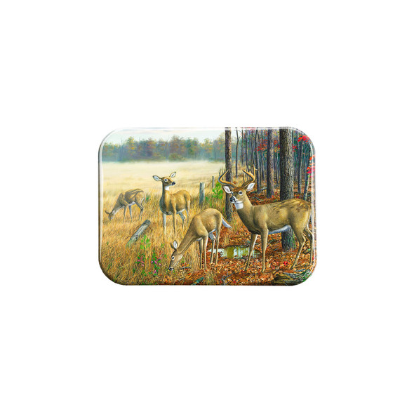 "A Brand New Day" - 2.5" X 3.5" Rectangle Fridge Magnets