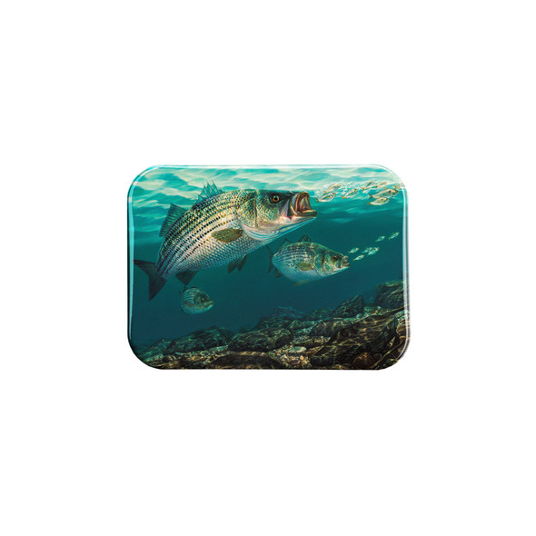 "Monster Madness" - 2.5" X 3.5" Rectangle Fridge Magnets