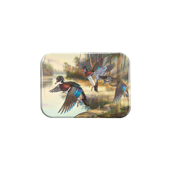 "Flyby" - 2.5" X 3.5" Rectangle Fridge Magnets