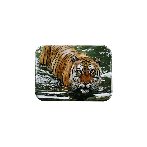 "Tiger in Water III" - 2.5" X 3.5" Rectangle Fridge Magnets