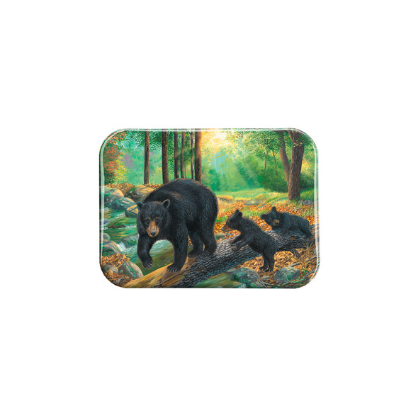 "A Walk in the Park" - 2.5" X 3.5" Rectangle Fridge Magnets
