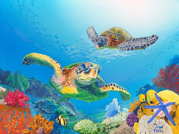 Turtle Reef – Coastal Matted Art Print