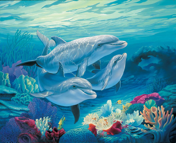 For Dolphin Lovers – Matted Art Print