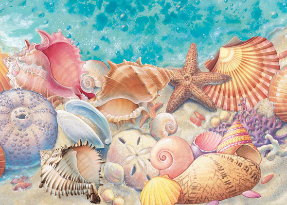 Sea Shells – Matted Art Print