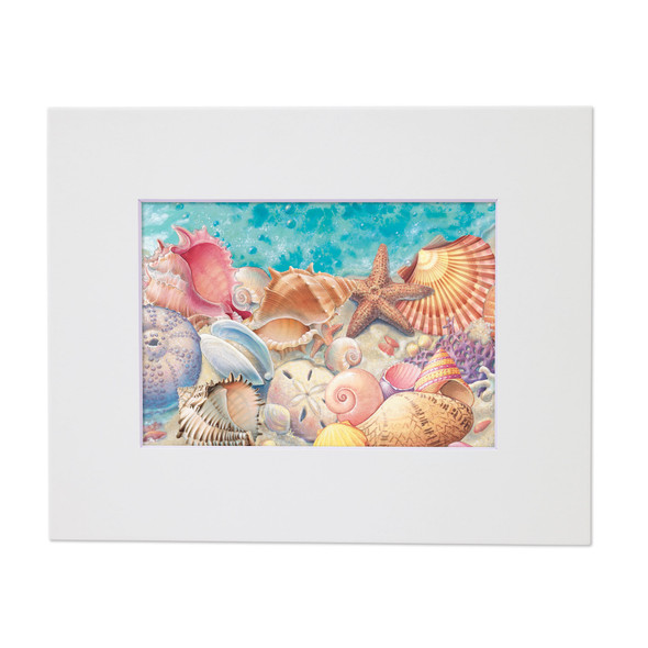 Sea Shells – Matted Art Print