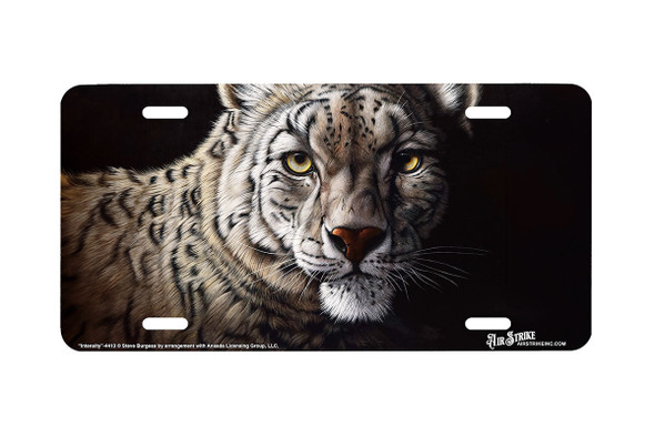 "Intensity"- Decorative License Plate