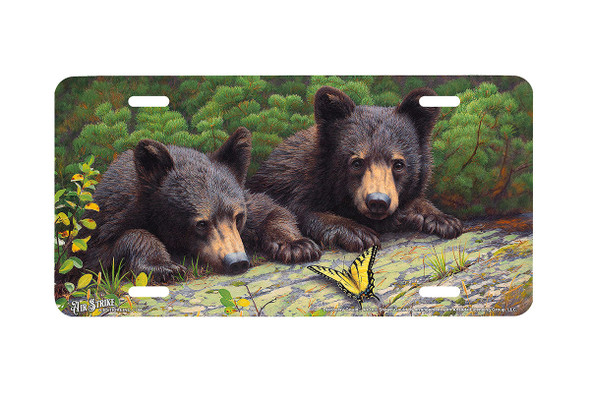 "Discovery Gould" - Decorative License Plate