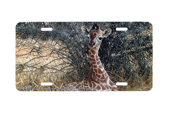 "Hidden Treasure" - Decorative License Plate