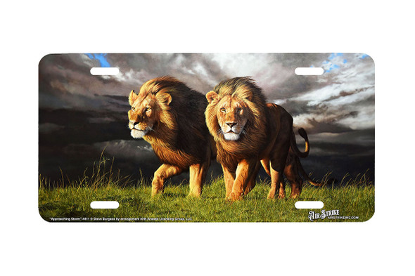 "Approaching Storm"- Decorative License Plate