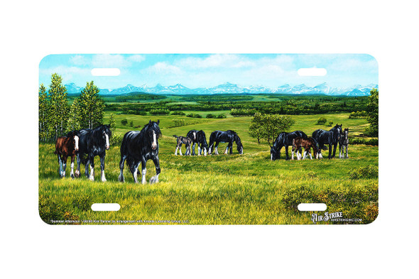 "Summer Afternoon" - Decorative License Plate