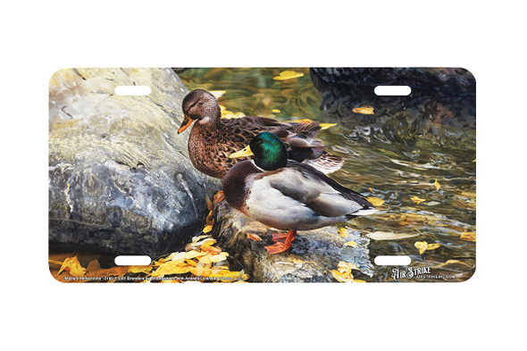 "Mallard Reflections" - Decorative License Plate
