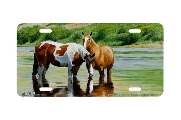 "Cooling Off" - Decorative License Plate