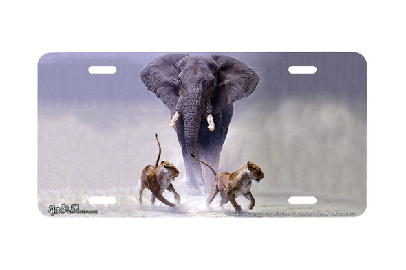 "Zero Tolerance" - Decorative License Plate