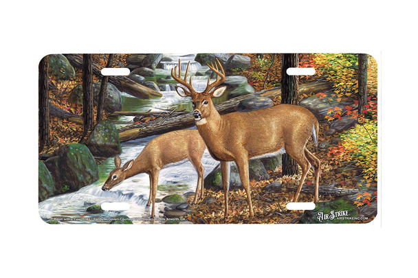 "Room With A View" - Decorative License Plate