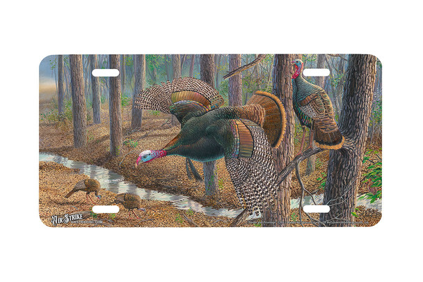 "Power and Privelege" - Decorative License Plate