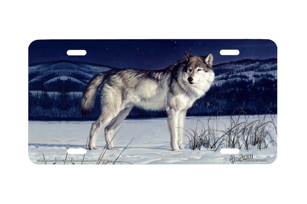 "Starlight Sentry" - Decorative License Plate