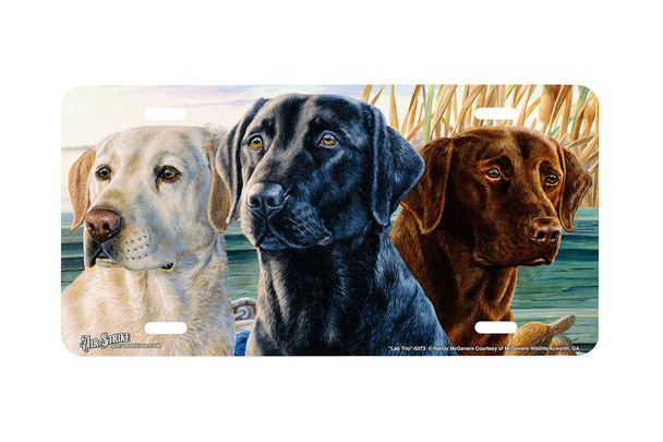 "Lab Trio" - Decorative License Plate