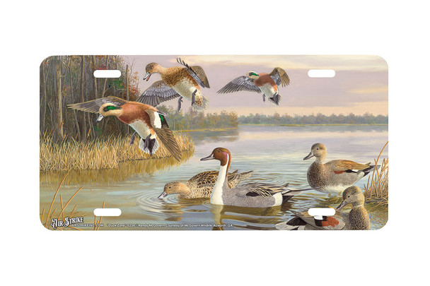 "Duck Zone" - Decorative License Plate