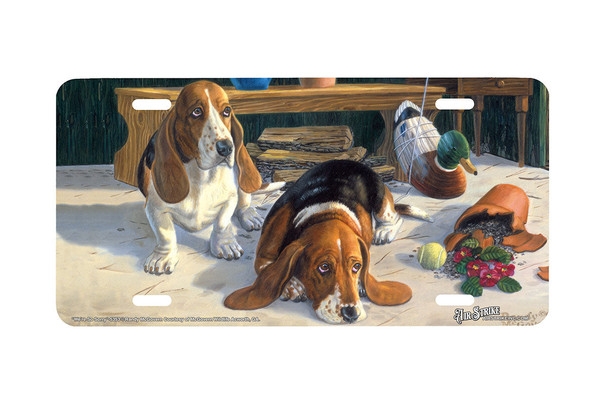 "Were So Sorry" - Decorative License Plate