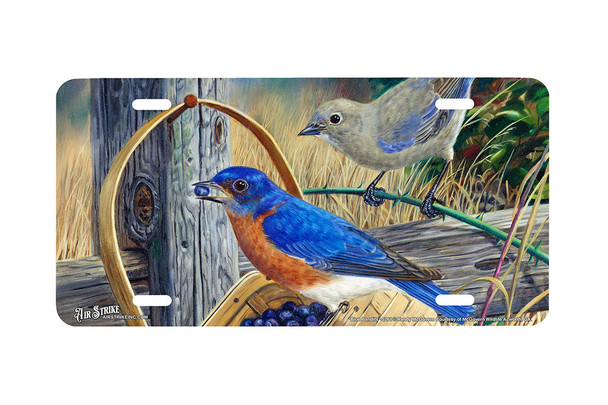 "Blue Bandits" - Decorative License Plate