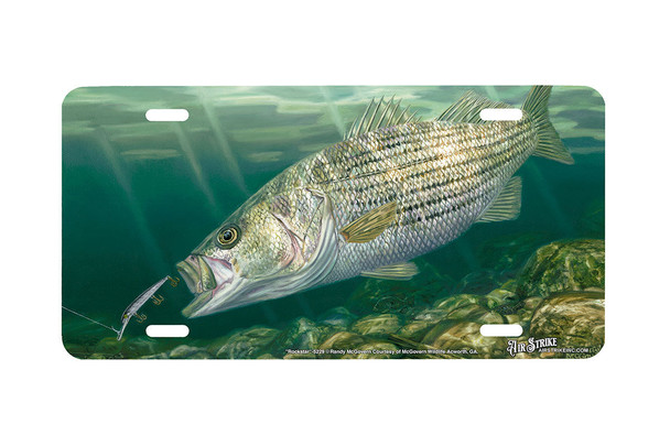 "Rock Star" - Decorative License Plate