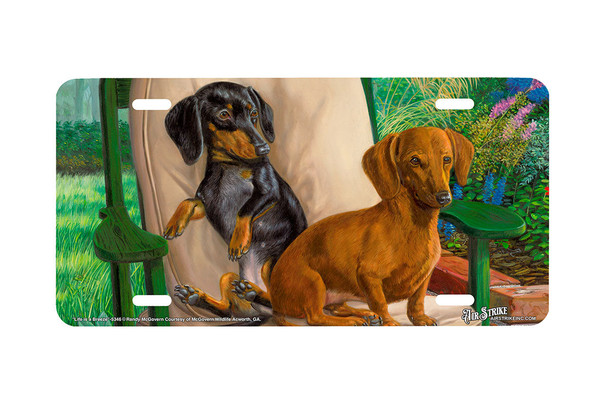 "Life Is A Breeze" - Decorative License Plate