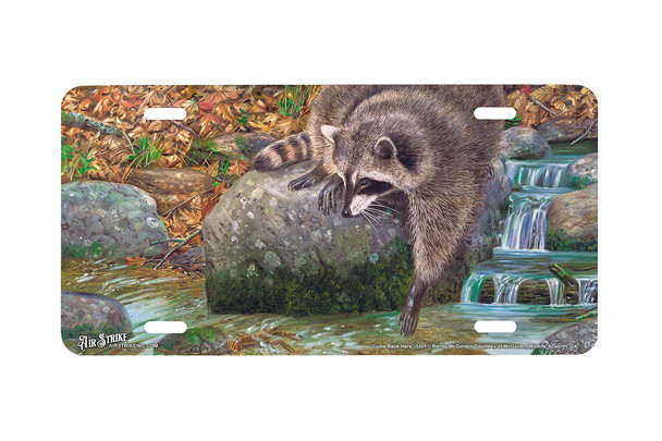 "Comeback Here" - Decorative License Plate