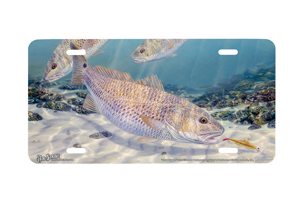 "Gold Diggers" - Decorative License Plate