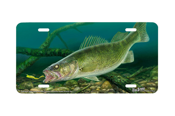 "Eye Candy" - Decorative License Plate