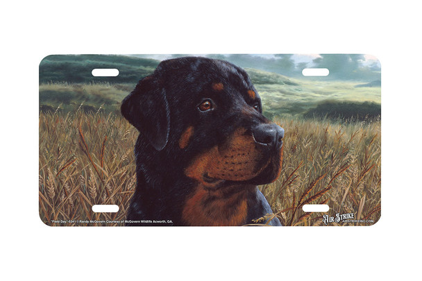 "Field Day" - Decorative License Plate