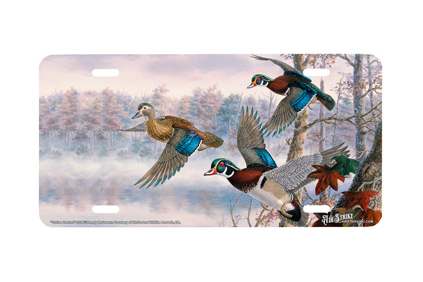 "Cruise Control" - Decorative License Plate