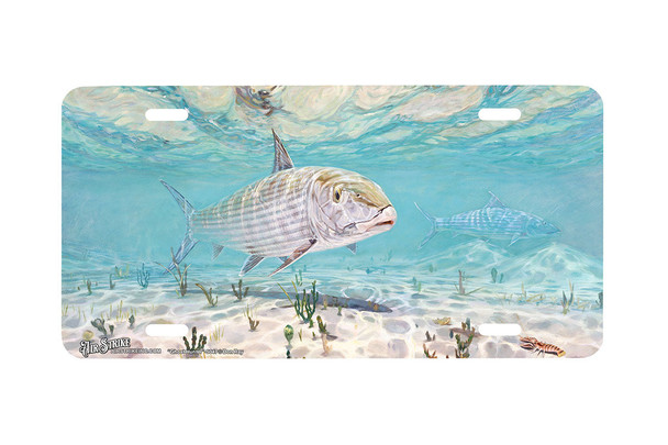 "Ghost Hunter" - Decorative License Plate