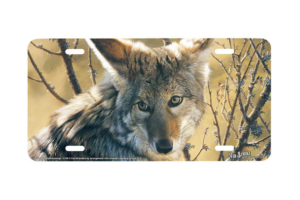 "Home Field Advantage" - Decorative License Plate