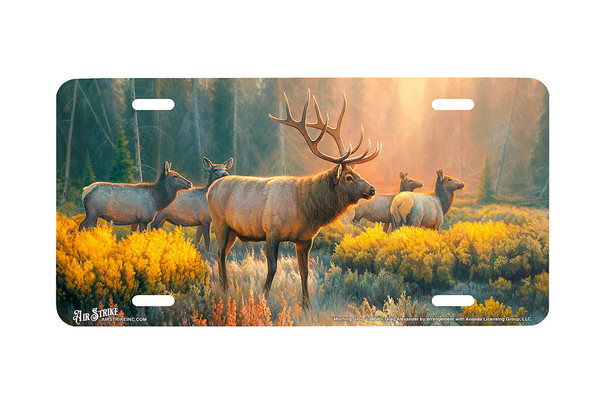 "Morning Glory" - Decorative License Plate