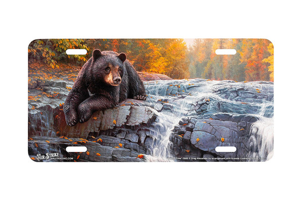 "Bearly Time" - Decorative License Plate