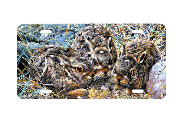 "Small Talk" - Decorative License Plate