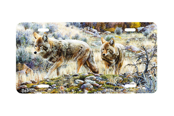 "Two Amigos" - Decorative License Plate