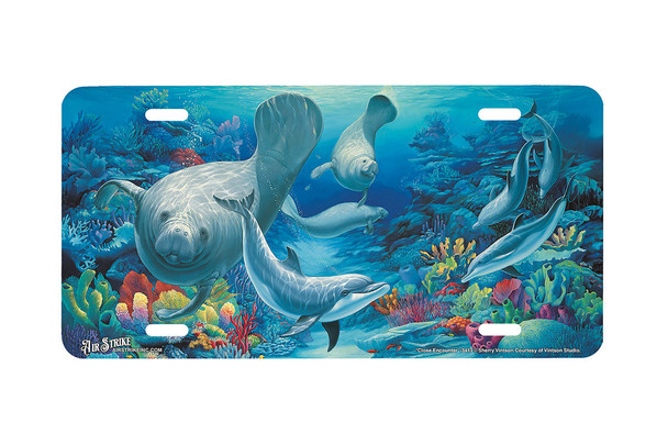 "Close Encounter II" - Decorative License Plate
