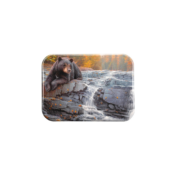 "Bearly Time" - 2.5" X 3.5" Rectangle Fridge Magnets