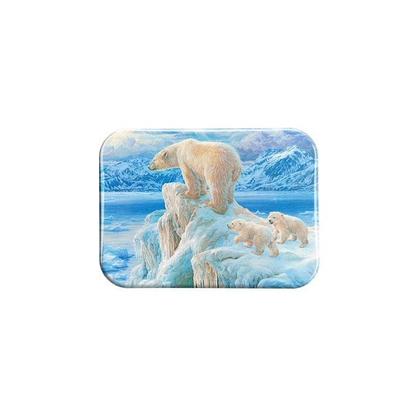 "Ice Castle" - 2.5" X 3.5" Rectangle Fridge Magnets