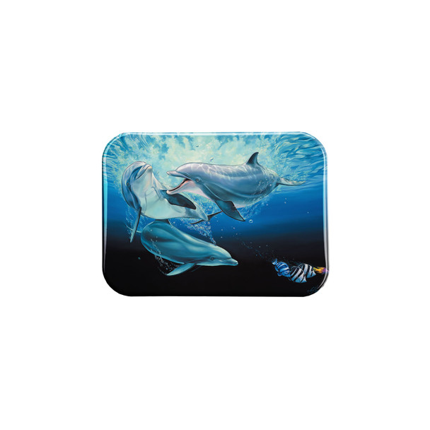 "Dolphin Play" - 2.5" X 3.5" Rectangle Fridge Magnets