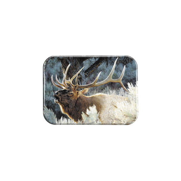 "Indian Summer" - 2.5" X 3.5" Rectangle Fridge Magnets