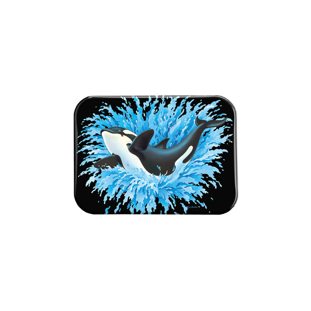 "Orca Splash" - 2.5" X 3.5" Rectangle Fridge Magnets