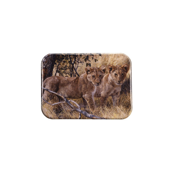 "Young Explorers" - 2.5" X 3.5" Rectangle Fridge Magnets